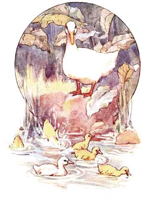 Ilustratie cu ratele pe lac